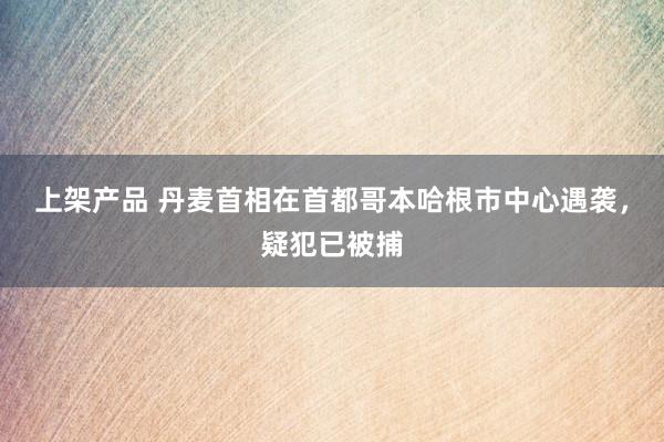 上架产品 丹麦首相在首都哥本哈根市中心遇袭，疑犯已被捕