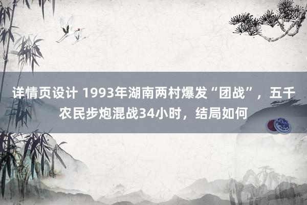 详情页设计 1993年湖南两村爆发“团战”，五千农民步炮混战34小时，结局如何