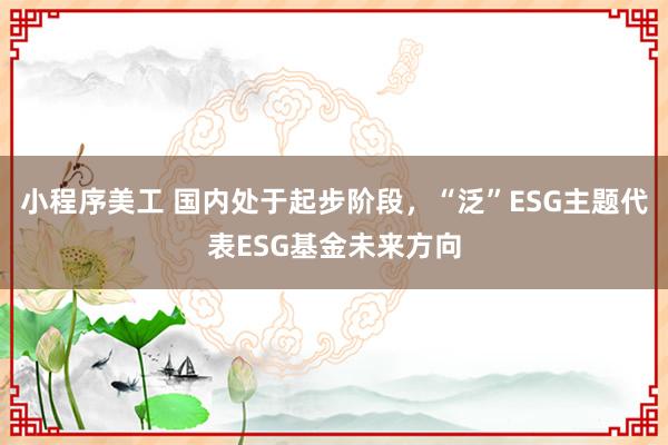 小程序美工 国内处于起步阶段，“泛”ESG主题代表ESG基金未来方向