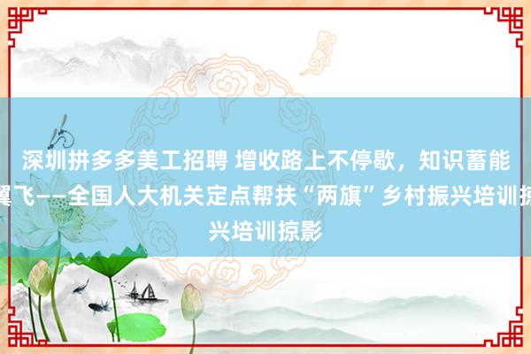 深圳拼多多美工招聘 增收路上不停歇，知识蓄能添翼飞——全国人大机关定点帮扶“两旗”乡村振兴培训掠影