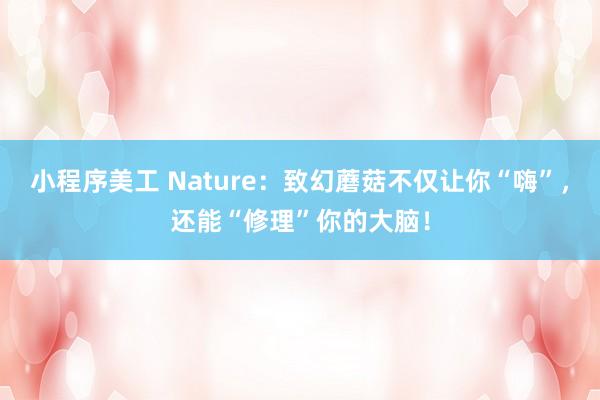 小程序美工 Nature：致幻蘑菇不仅让你“嗨”，还能“修理”你的大脑！