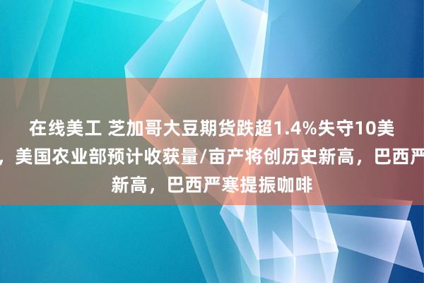 在线美工 芝加哥大豆期货跌超1.4%失守10美元心理关口，美国农业部预计收获量/亩产将创历史新高，巴西严寒提振咖啡